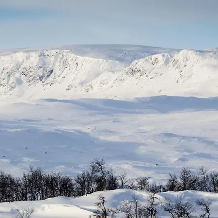 Large With Spectacular Views In Geilo